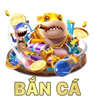 Bắt đầu hợp tác