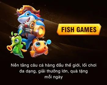 Hỗ trợ chuyên nghiệp